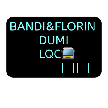 BANDI&FLORIN DUMI S.R.L