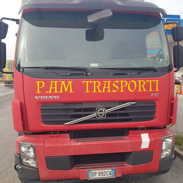 P.AM TRASPORTI DI PREDESCU ANA MARIA